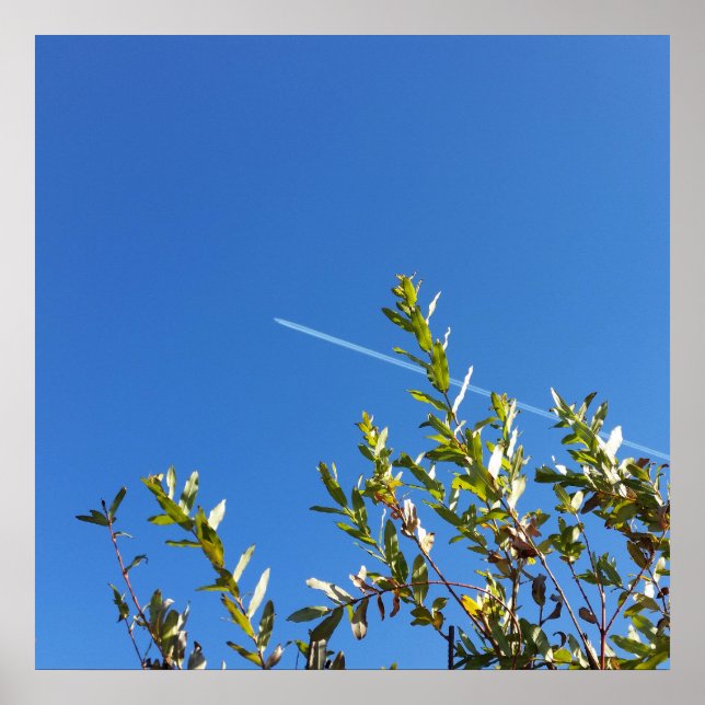 Póster cielo claro (Frente)