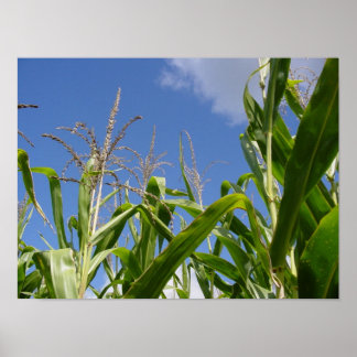 Póster Cielo de Corny