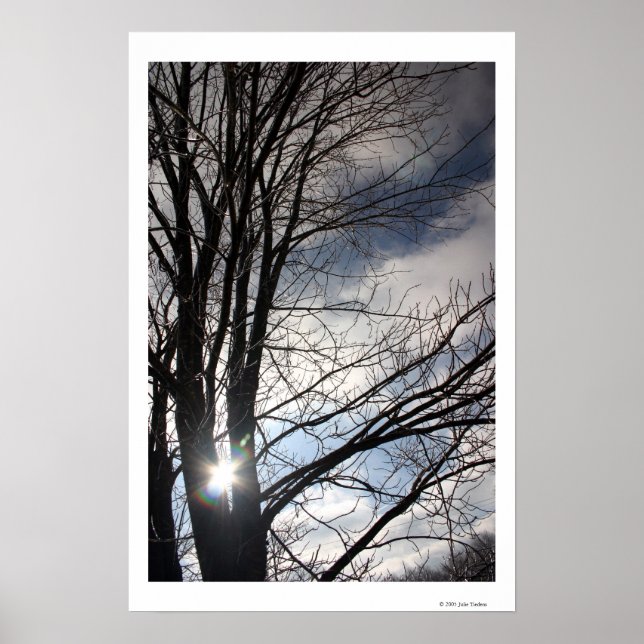 Póster Cielo de Maple (Frente)