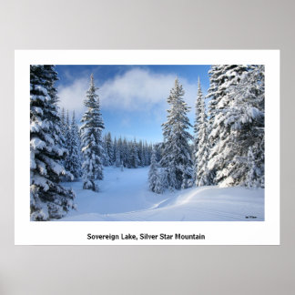 Póster Cielo de nieve