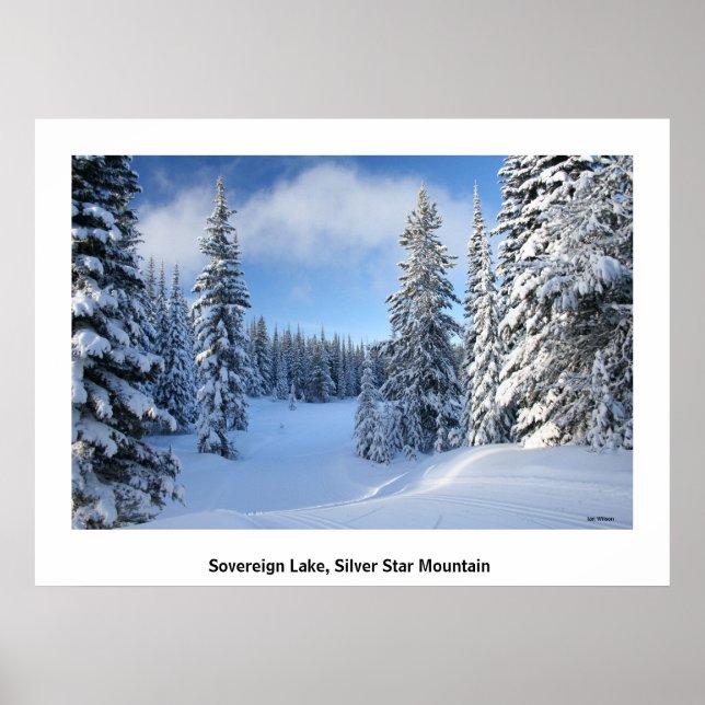 Póster Cielo de nieve (Frente)