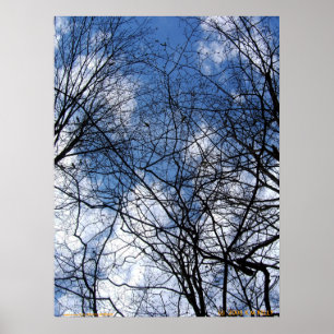 PÓSTER CIELO DE PELO.