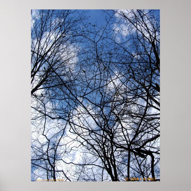 PÓSTER CIELO DE PELO. (Frente)