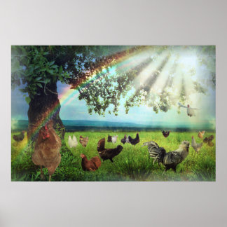 Póster Cielo de pollo
