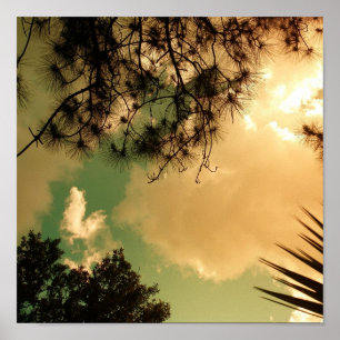 Póster Cielo de Senic