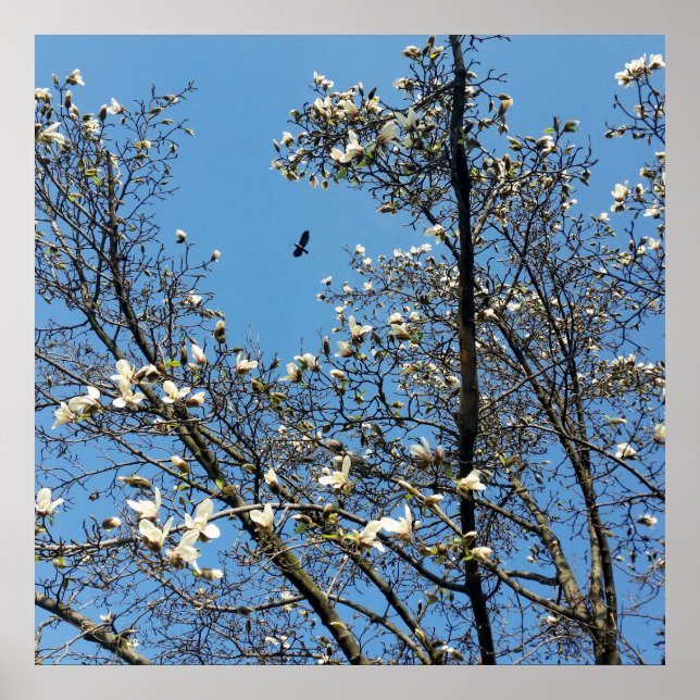 Póster cielo en primavera (Frente)