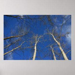 Póster Cielo invernal