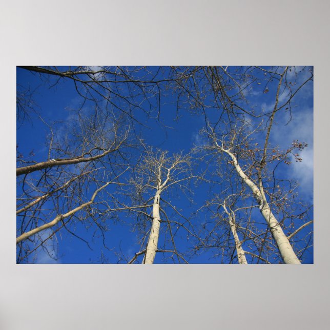 Póster Cielo invernal (Frente)