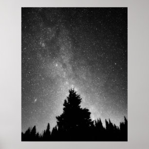 Póster Cielo nocturno