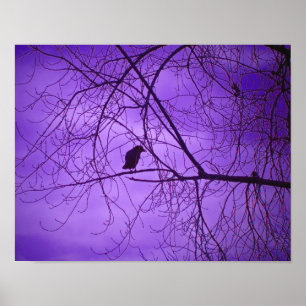 Póster Cielo Púrpura Cuervo Negro