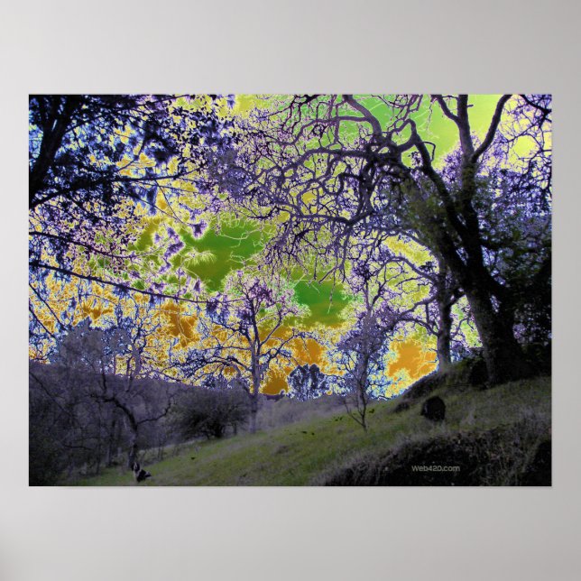 Póster cielo verde psicodélico y amarillo (Frente)