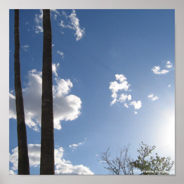 PÓSTER CIELOS AZULES Y ÁRBOLES DE PALMA (Frente)