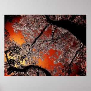 Póster Cielos de Asia