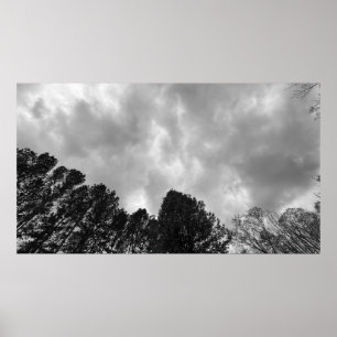 Póster Cielos nublados,