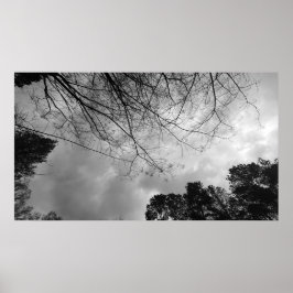 Póster Cielos nublados,