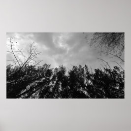 Póster Cielos nublados,