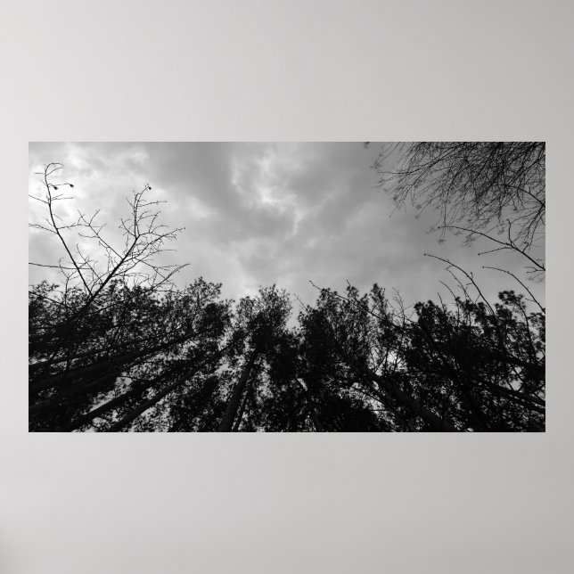 Póster Cielos nublados, (Frente)