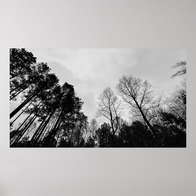 Póster Cielos nublados, (Frente)