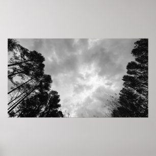 Póster Cielos nublados,
