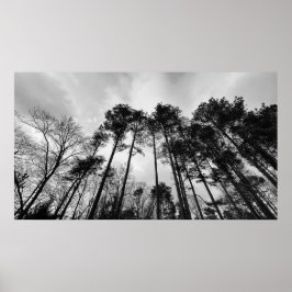 Póster Cielos nublados,