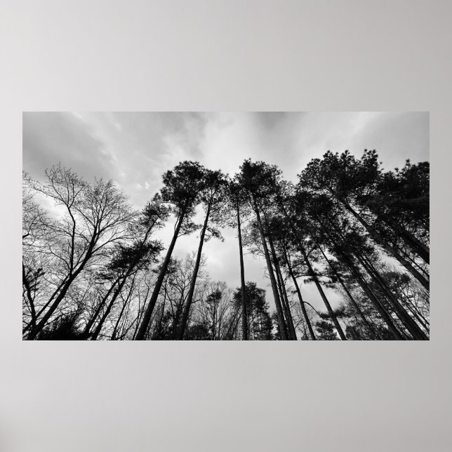 Póster Cielos nublados, (Frente)