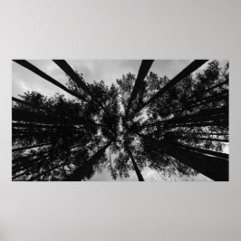 Póster Cielos nublados,