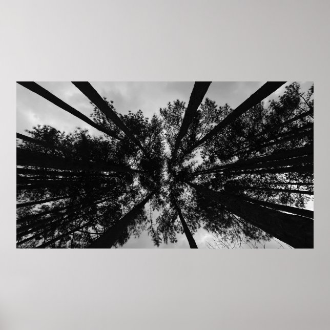 Póster Cielos nublados, (Frente)