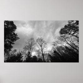 Póster Cielos nublados,