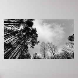 Póster Cielos nublados,