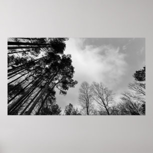 Póster Cielos nublados,