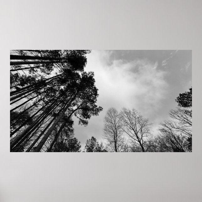 Póster Cielos nublados, (Frente)