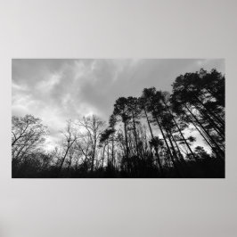 Póster Cielos nublados,