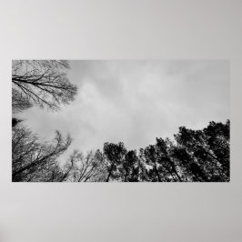 Póster Cielos nublados,