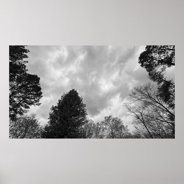 Póster Cielos nublados, (Frente)