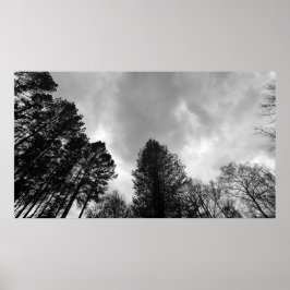 Póster Cielos nublados,