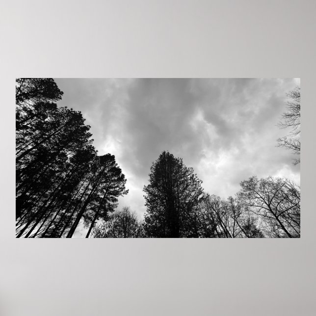 Póster Cielos nublados, (Frente)