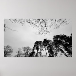 Póster Cielos nublados,