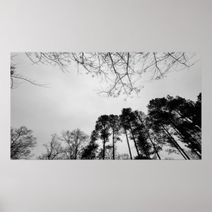 Póster Cielos nublados,