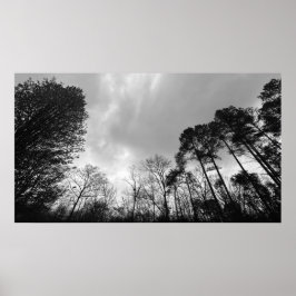 Póster Cielos nublados,