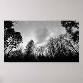 Póster Cielos nublados,