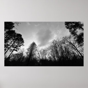 Póster Cielos nublados,