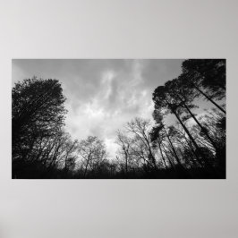 Póster Cielos nublados,