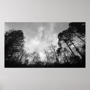 Póster Cielos nublados,