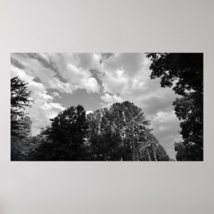 Póster Cielos nublados, Poster