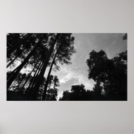 Póster Cielos nublados, Poster