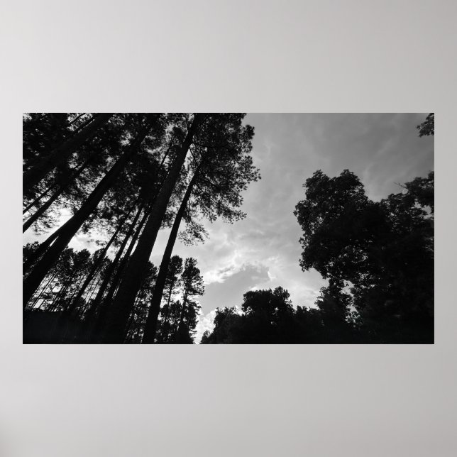 Póster Cielos nublados, Poster (Frente)