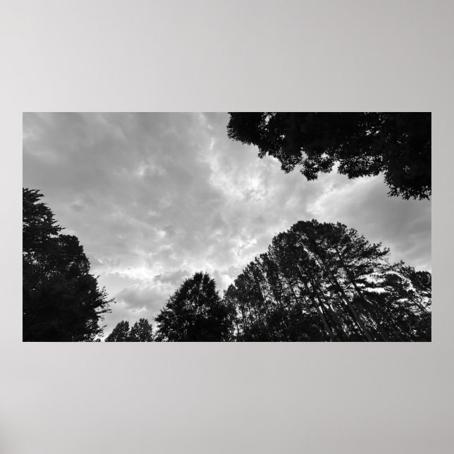 Póster Cielos nublados, Poster (Frente)