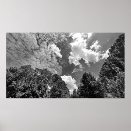 Póster Cielos nublados, Poster