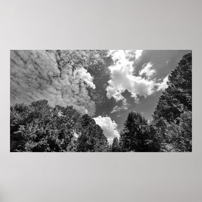 Póster Cielos nublados, Poster (Frente)