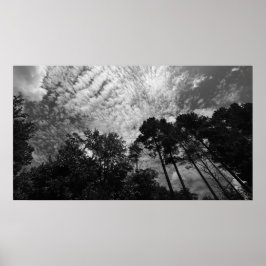 Póster Cielos nublados, Poster